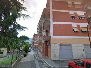 Zona