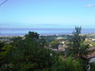 Vista