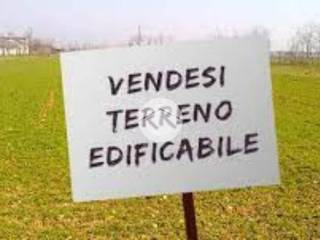 Zona
