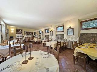 Cantina