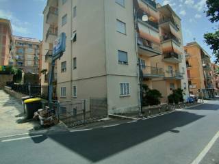 Zona