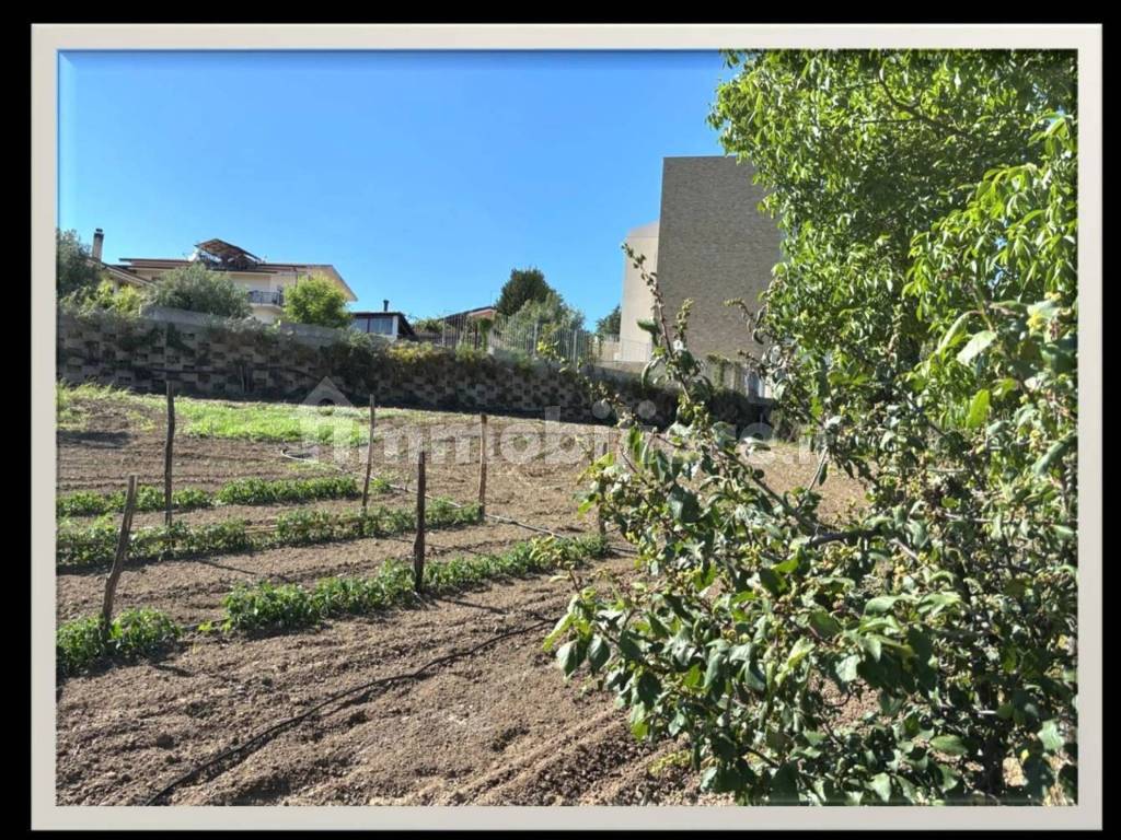 Terreno