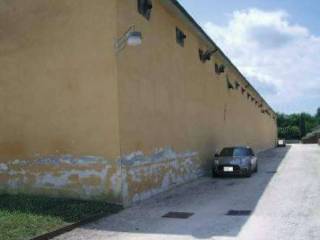 Zona
