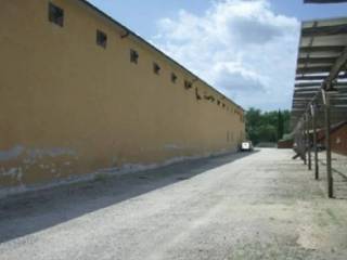 Zona