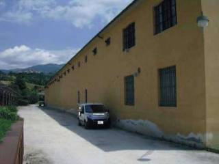 Zona