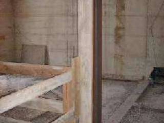 Scala
