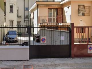 Zona