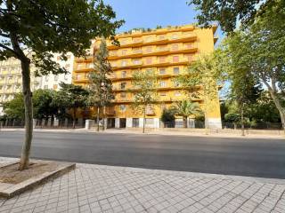Zona