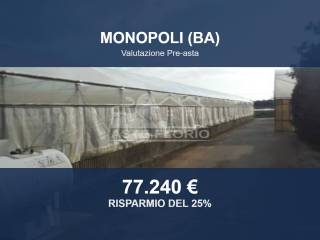 Zona
