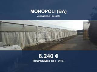 Zona