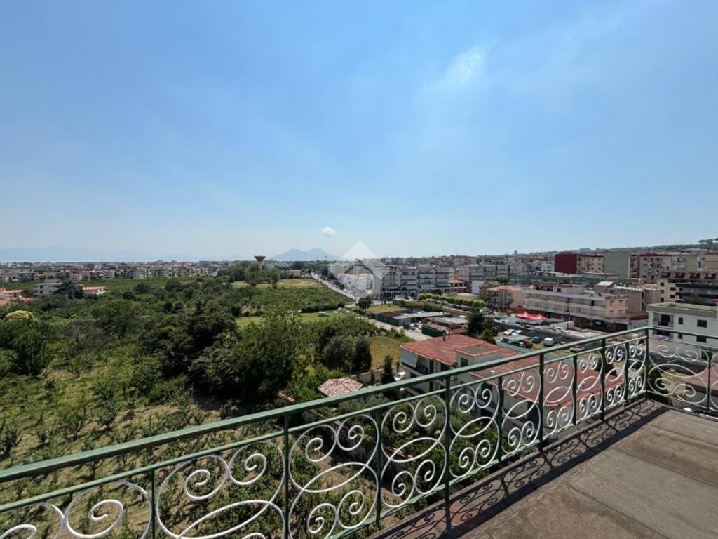 Vista