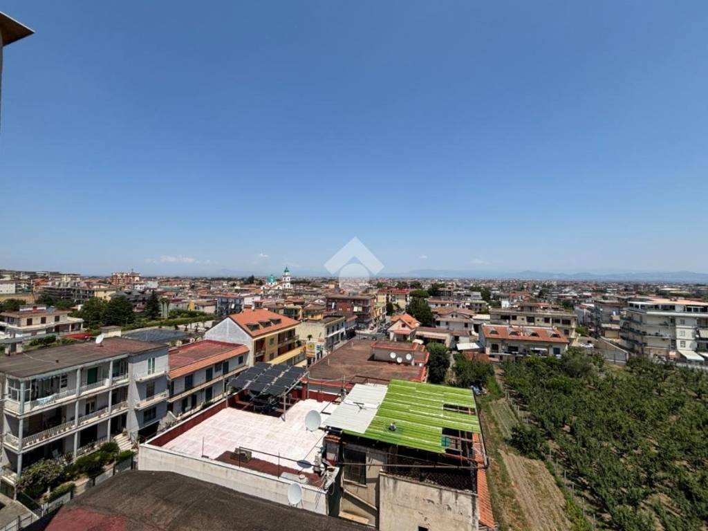 Vista