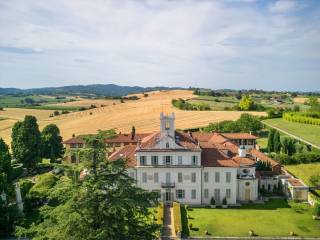 Vista