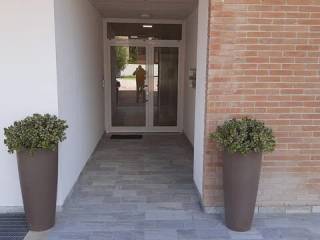 Ingresso