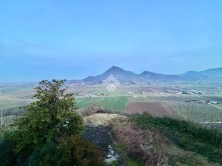 Vista