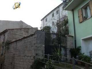 Zona