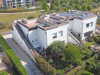 Vista