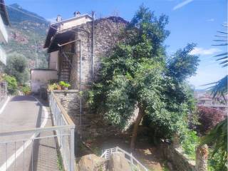 Zona