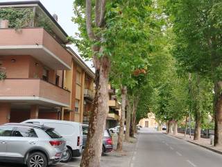 Zona