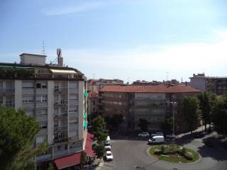 Vista