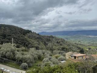 Vista