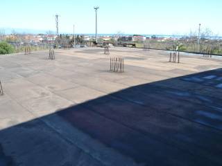 Zona