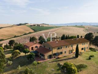 Vista