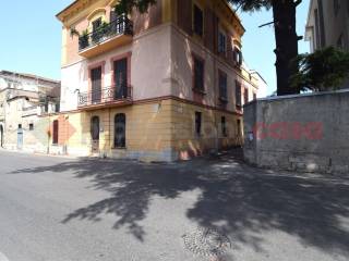 Zona