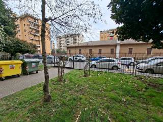 Zona