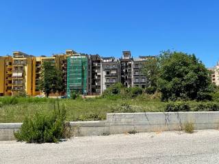 Zona