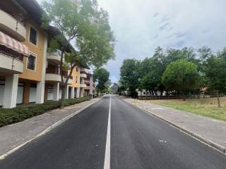 Zona