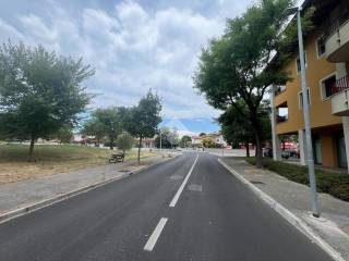 Zona