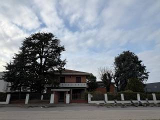 Zona