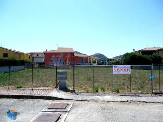 Zona