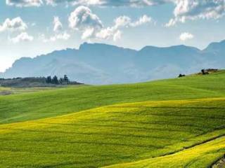 Terreno