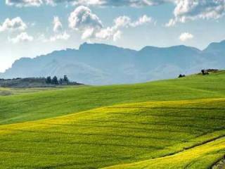 Terreno