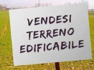 Zona