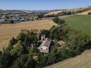 Vista