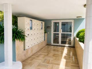 Ingresso