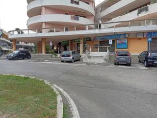 Zona