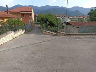 Zona