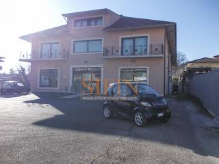 Zona