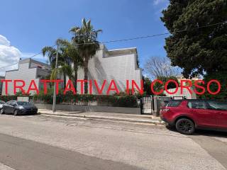 Zona