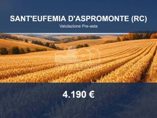 Altro