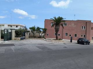 Zona