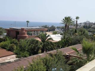Vista
