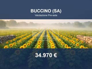 Altro