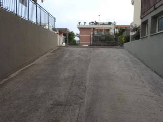 Zona
