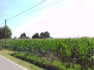 Zona