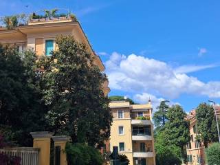 Zona